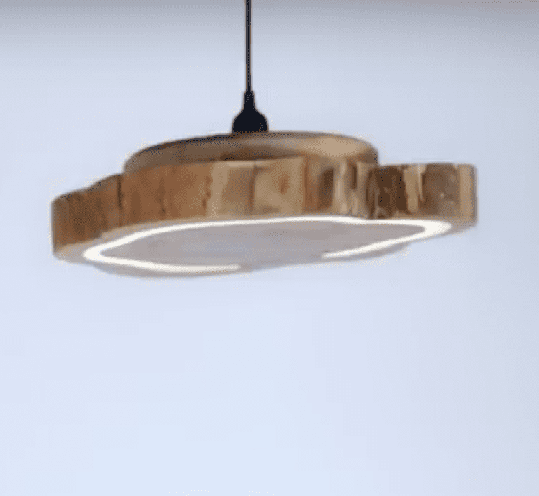 Epoxy Pendant LED Wood Trunk Light